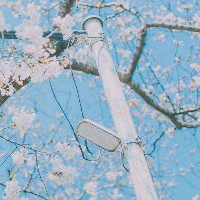 口袋之旅应用宝版下载